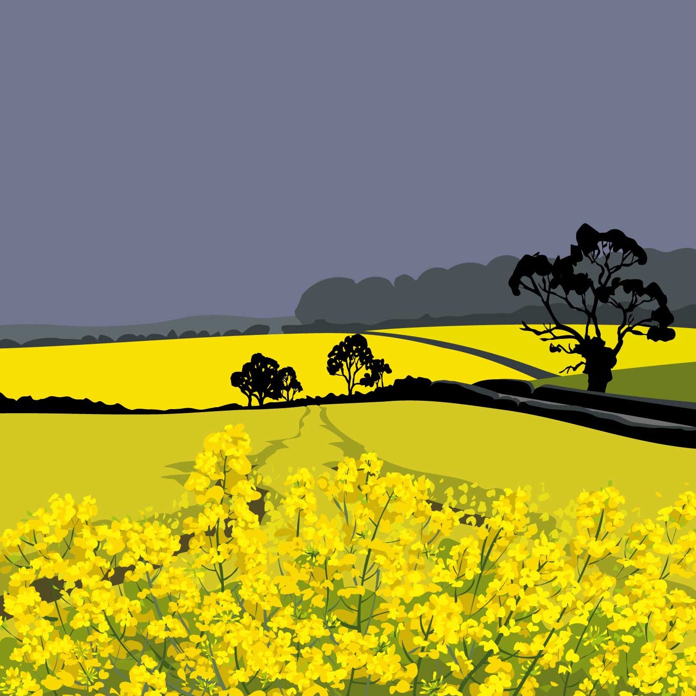 Fields of Rape Blank Card