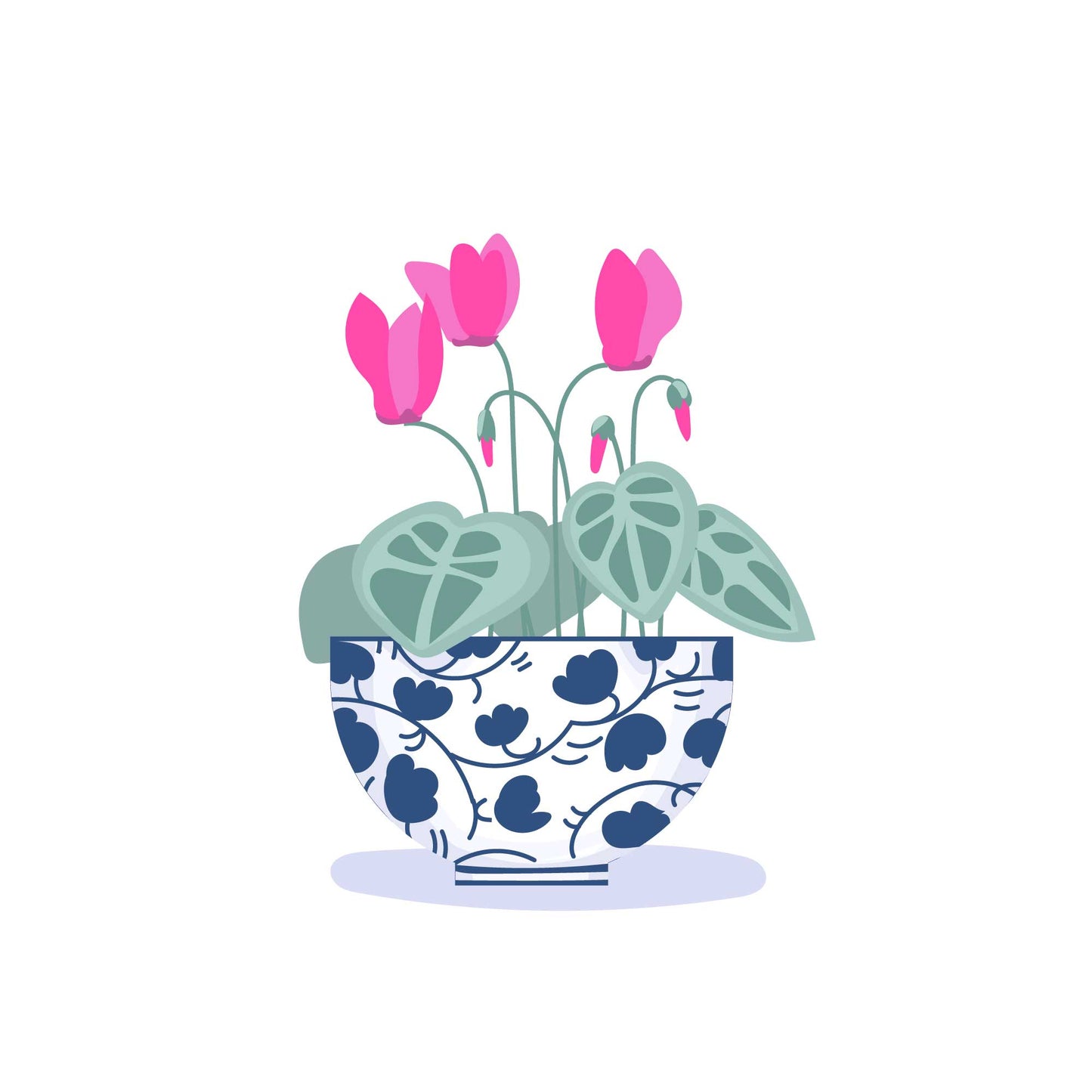 Cyclamen Bowl Card