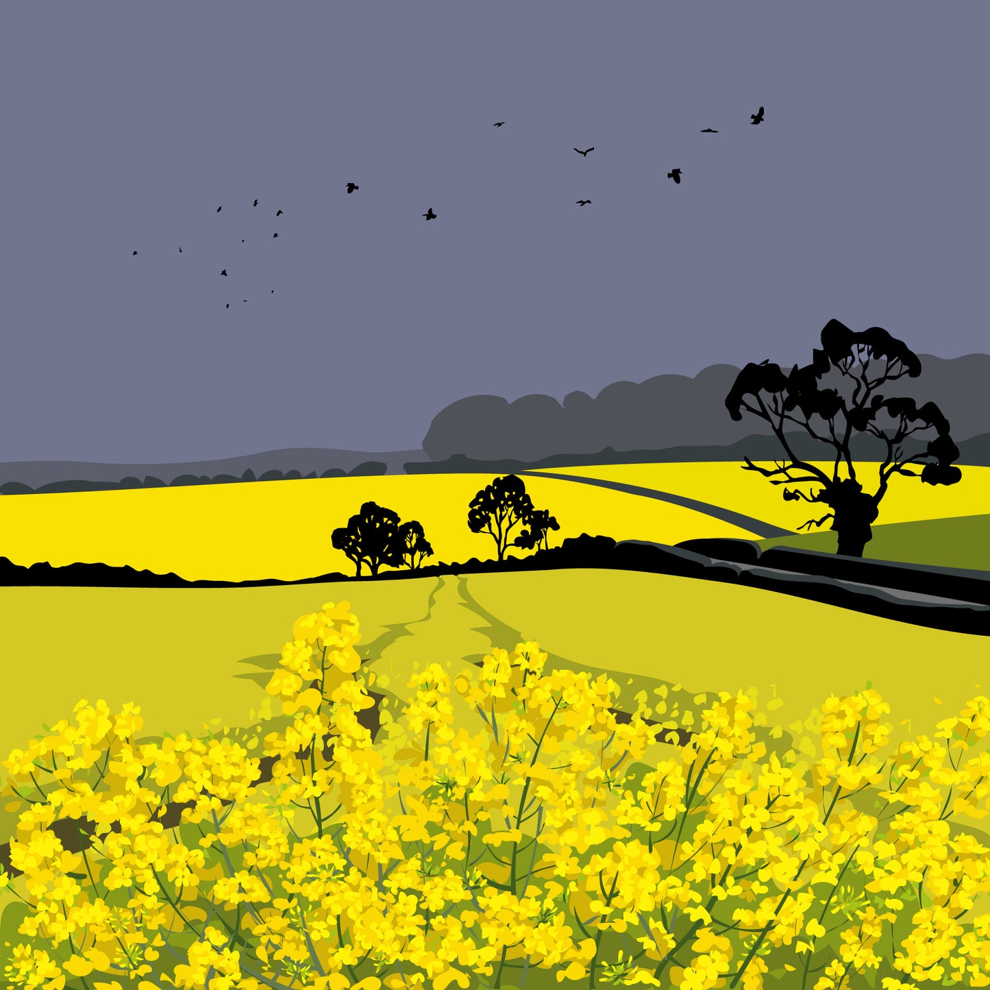 Fields of Rape Blank Card