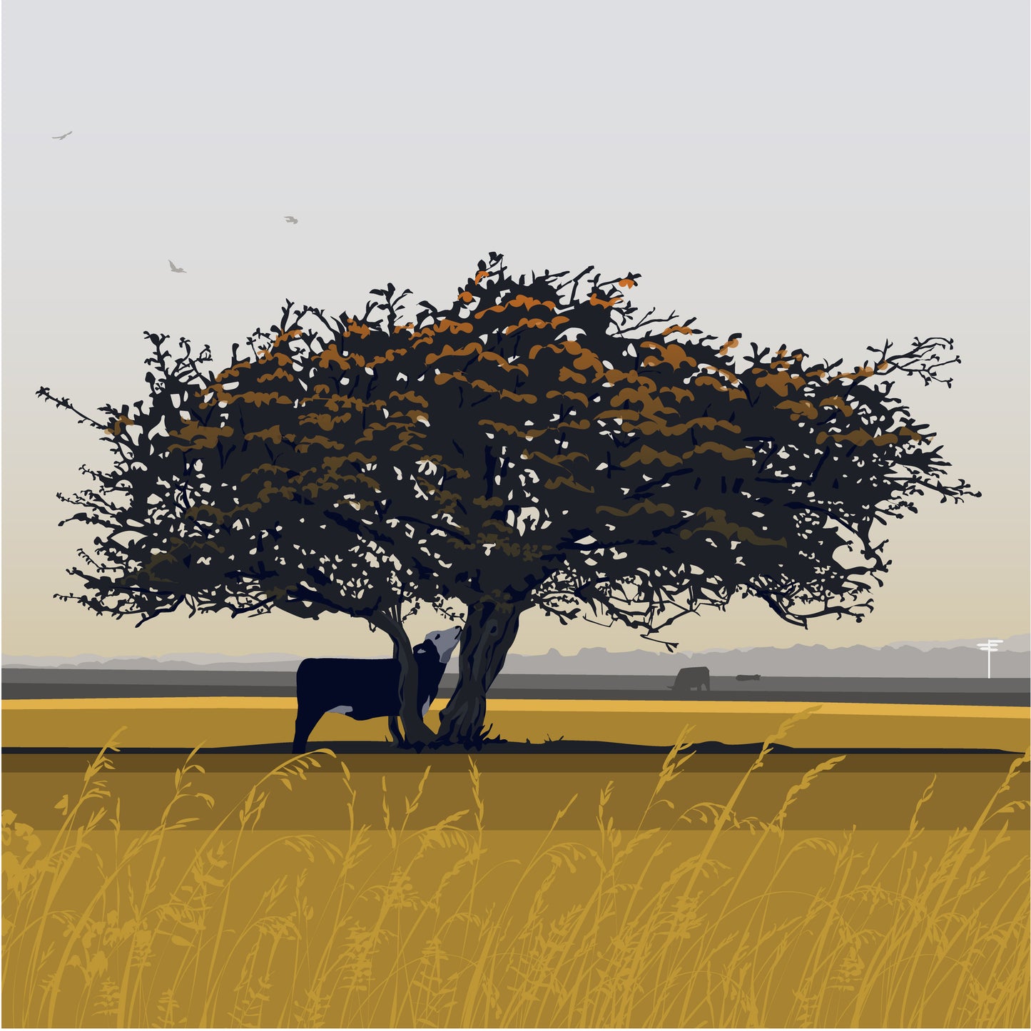 That Hawthorn Tree Sunset Blank Card