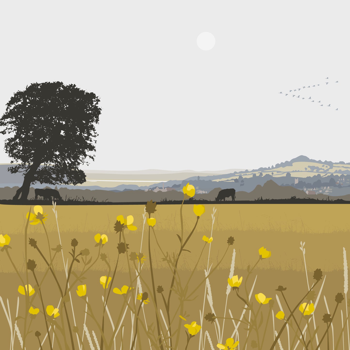 Rodborough view Blank Card