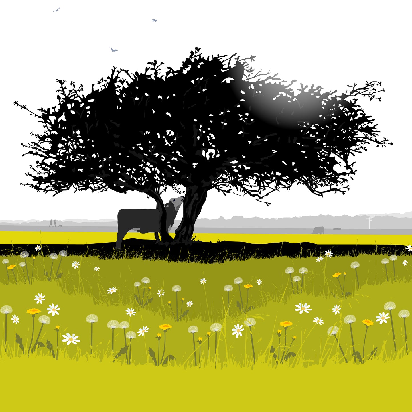 That Hawthorn Tree Blank Card