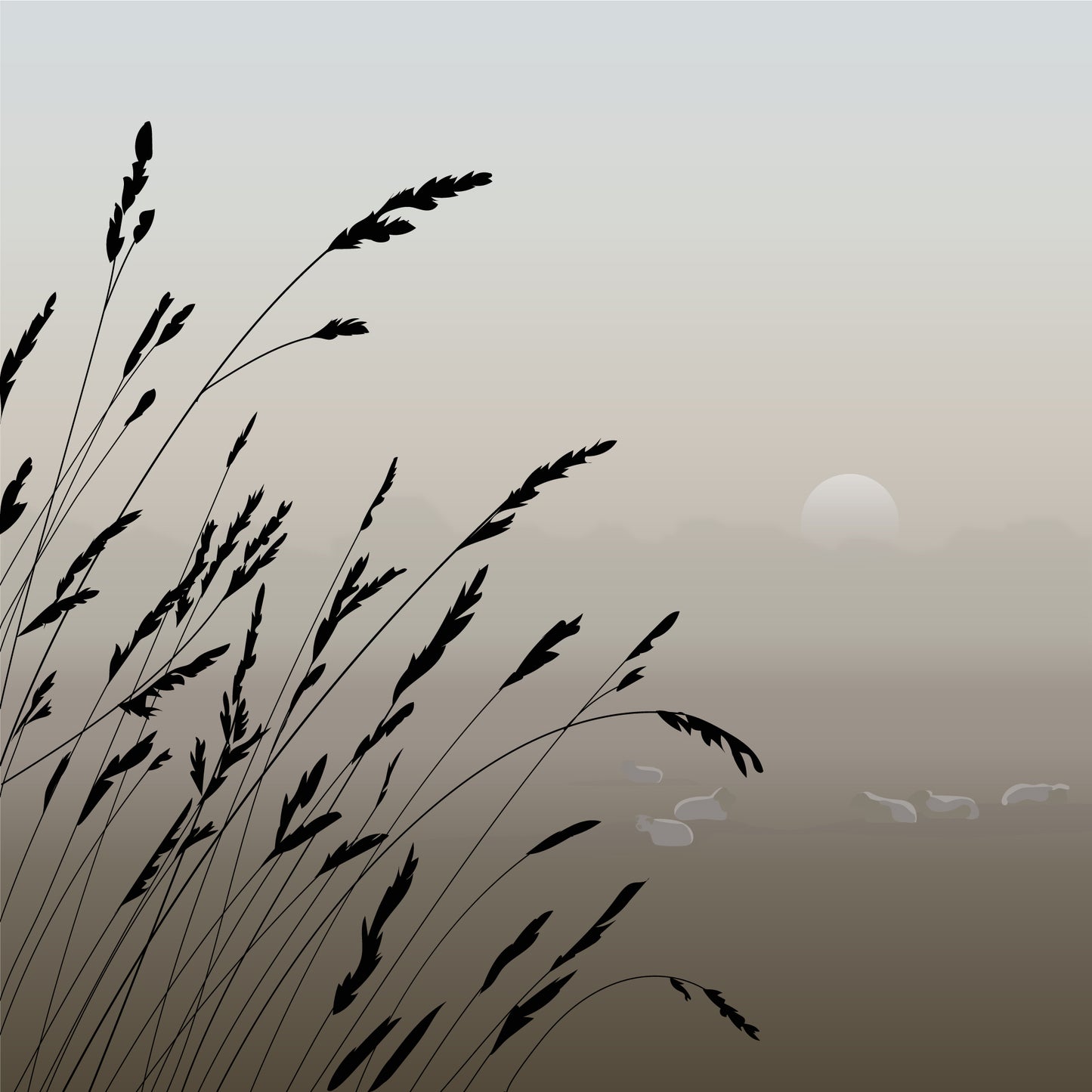 Grasses and sheep at dawn Blank Card