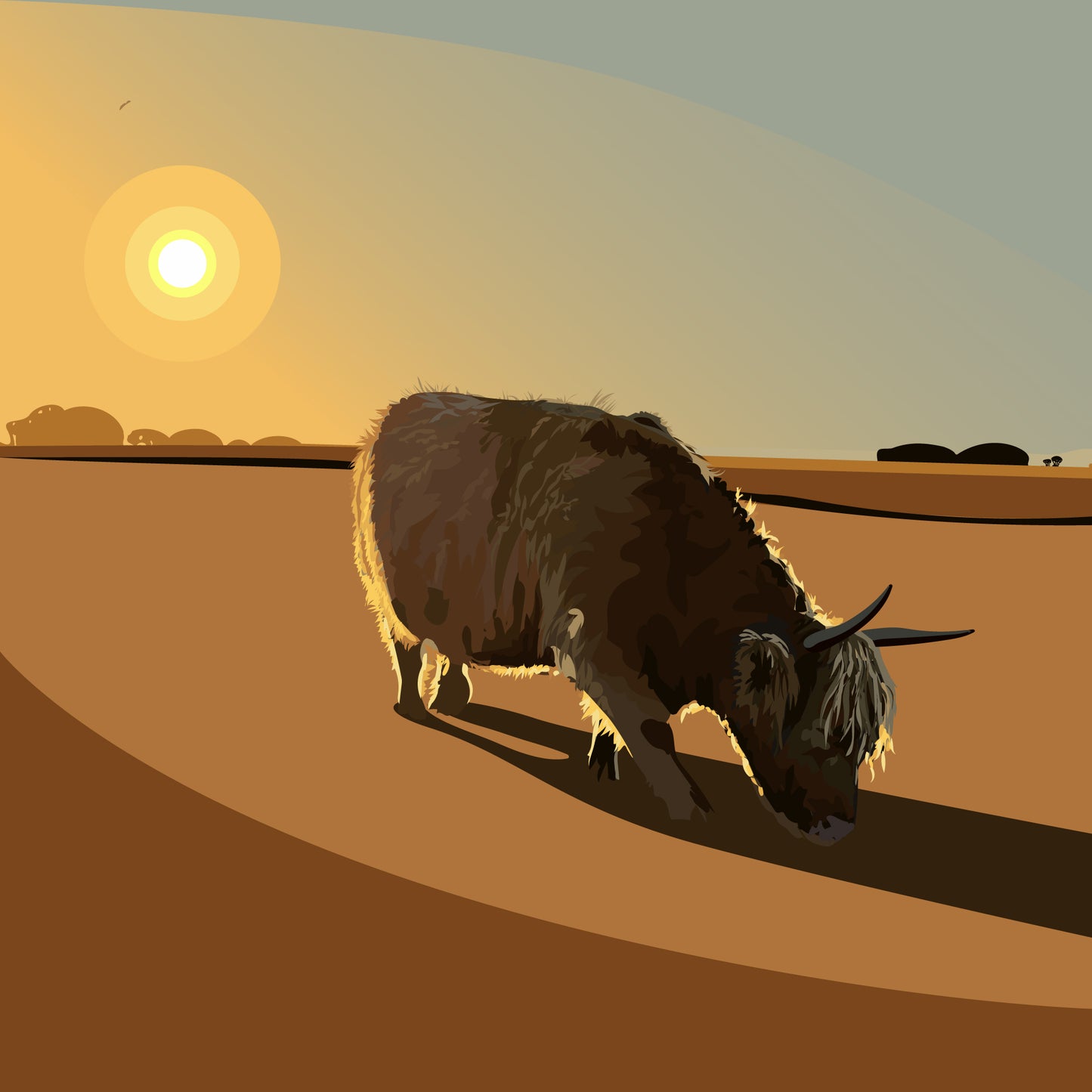 Short Cow Long Shadow Blank Card
