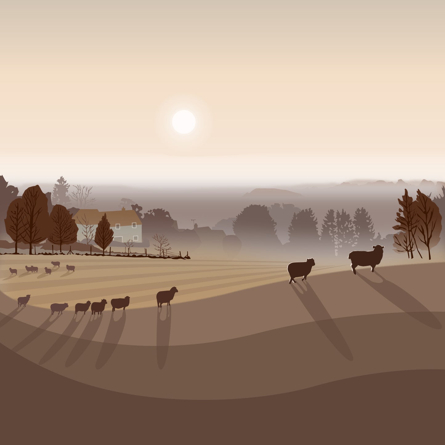 Oakridge sheep Blank Card
