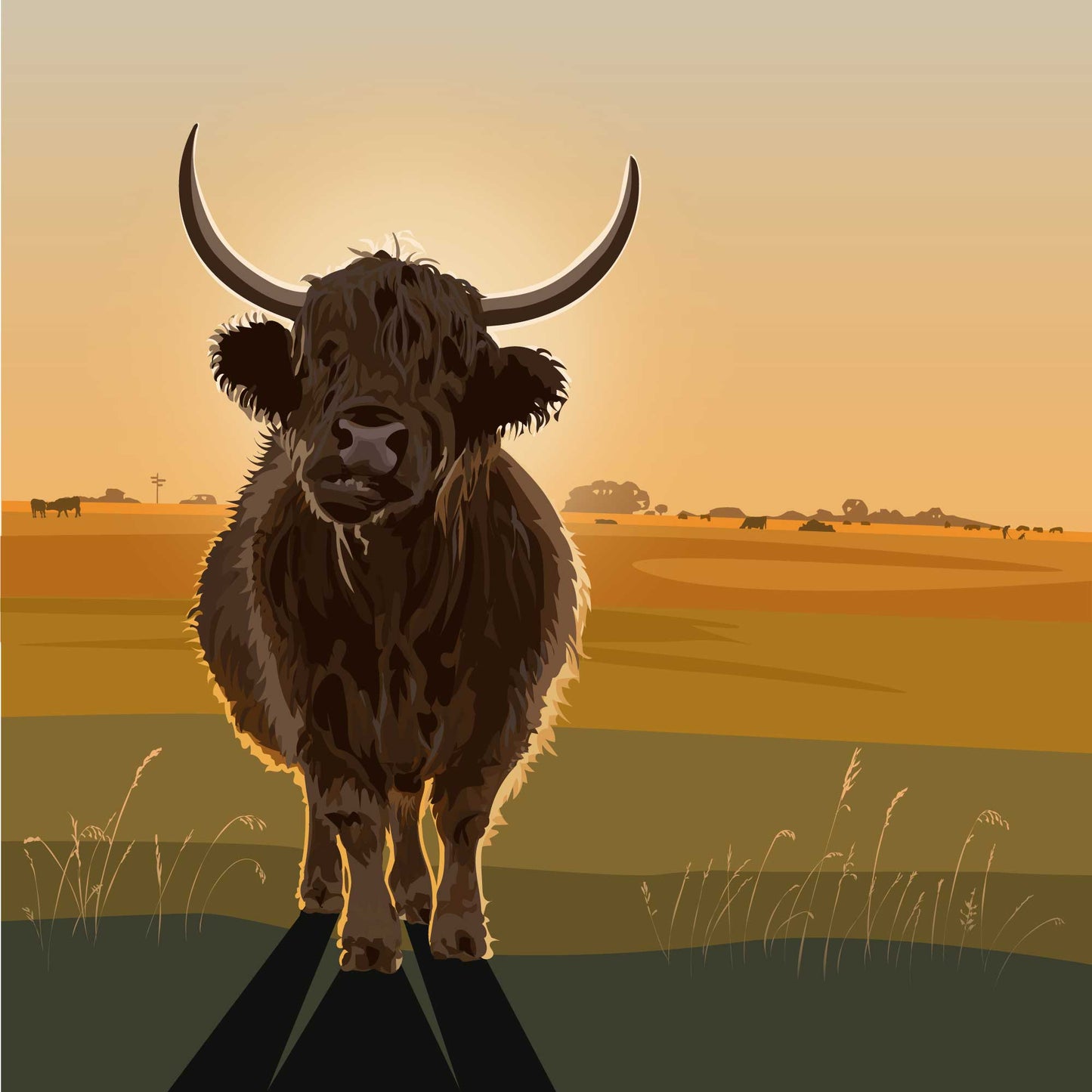 Highland at Sunset Blank Card