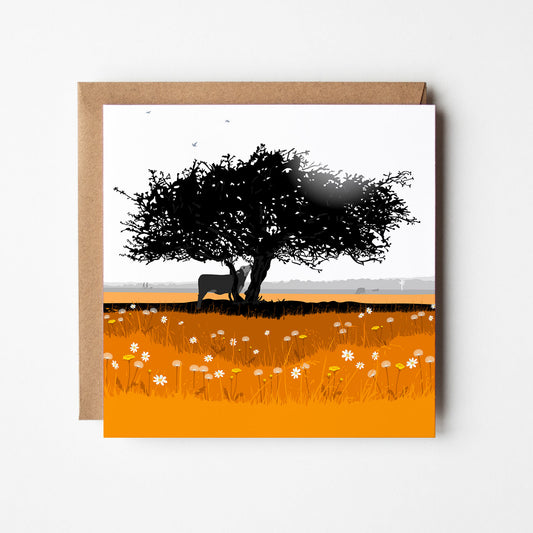 That Hawthorn Tree Orange Blank Card