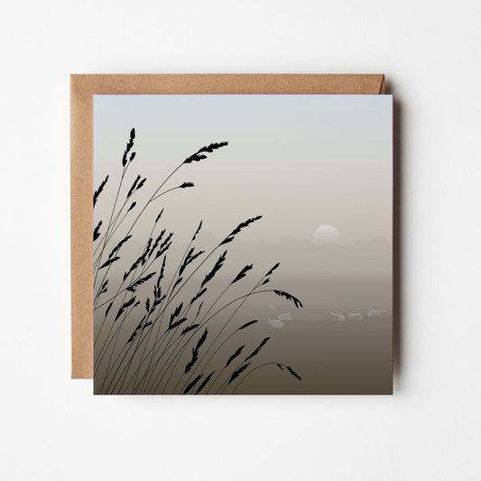 Grasses and sheep at dawn Blank Card