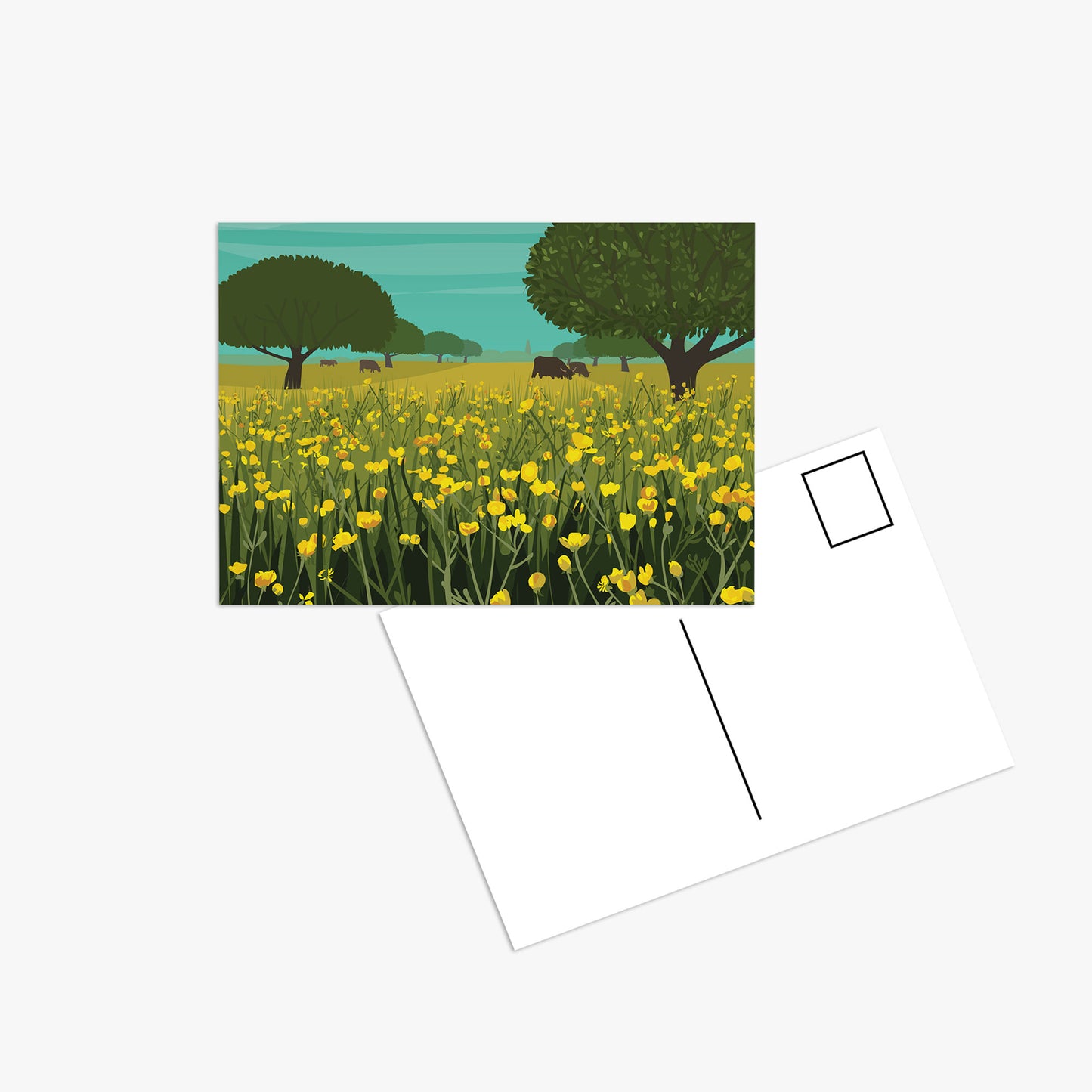 The Avenue - Postcard