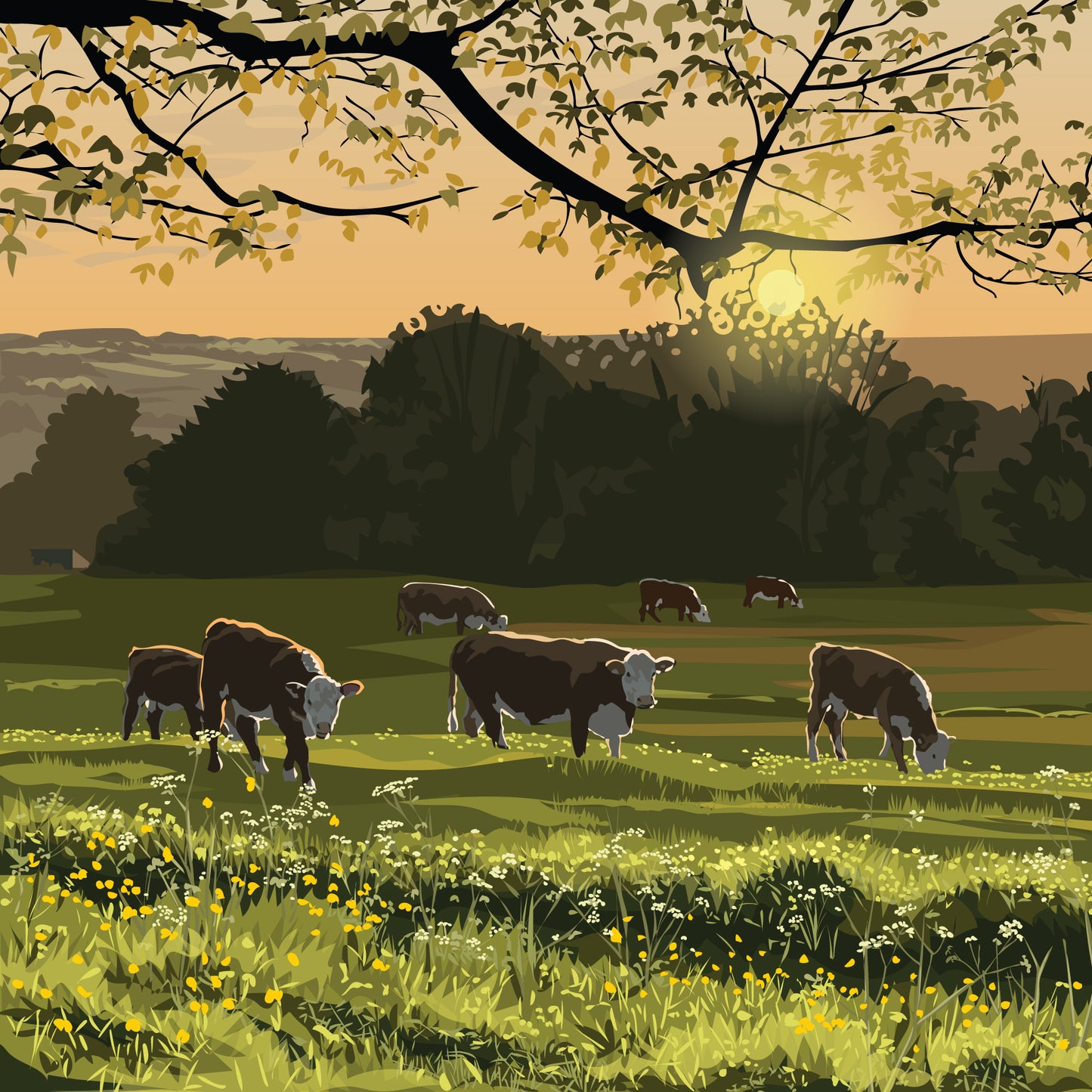 The Amberley Calves Blank Card