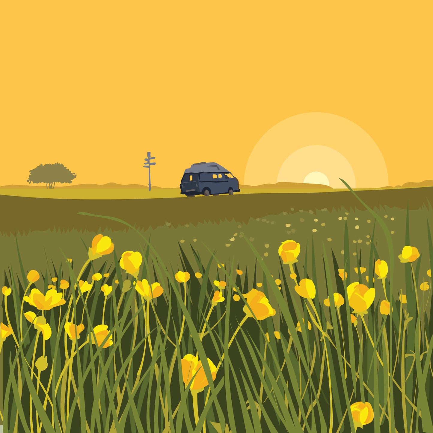 Homeward Bound Blank Card