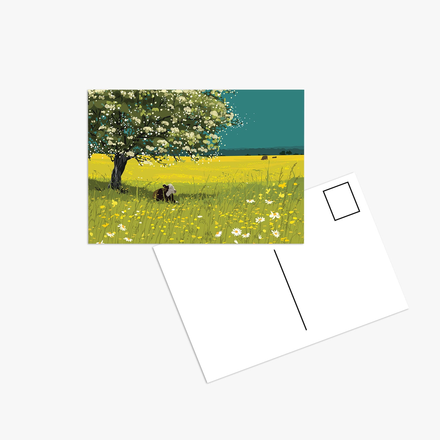 Buttercups and Blossoms - Postcard