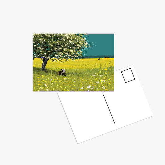 Buttercups and Blossoms - Postcard