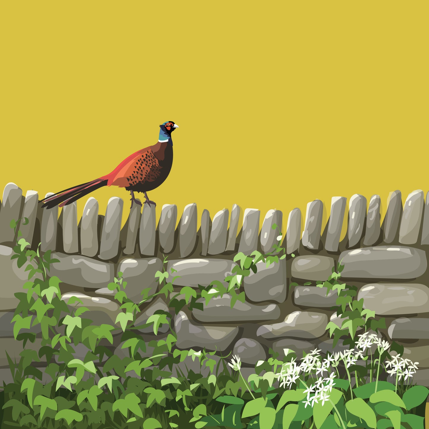 Pheasant Card