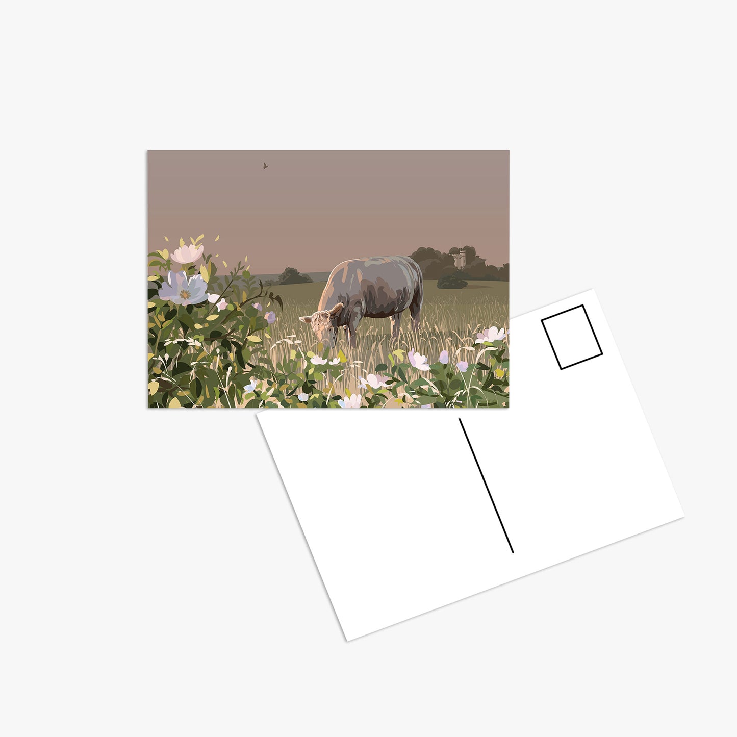 Roses and Cow - Postcard