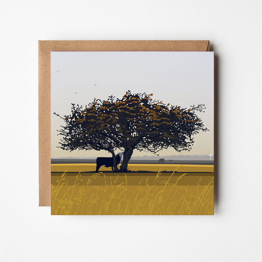 That Hawthorn Tree Sunset Blank Card