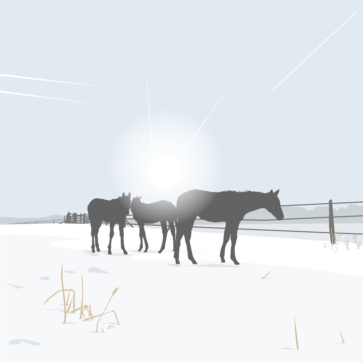 Polo Ponies Snowy Blank Card