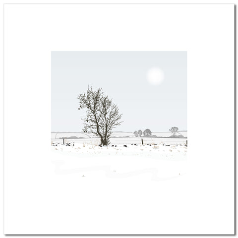 Solo Tree - Blue - Unframed Print