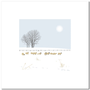 The Snowy Sheep - Blue - 50 x 50cm - Unframed Print