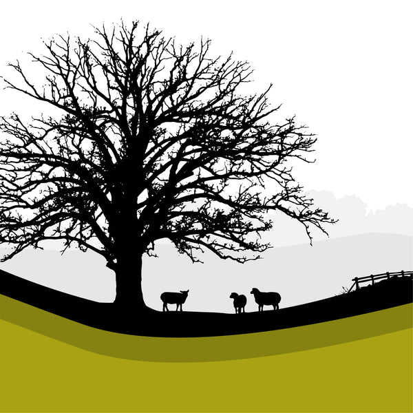 Tree and 3 Sheep - Green - 50 x 50cm - Unframed Print