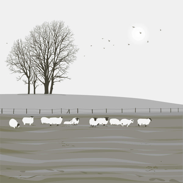 Sheep - Grey - Unframed Print
