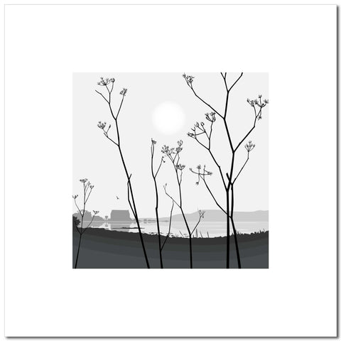 Cow Parsley on the Isle of Wight - Grey - Unframed Print
