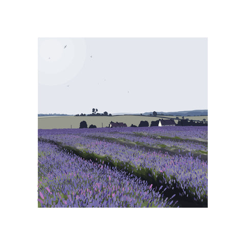 Cotswold Lavender Field - Purple - Unframed Print