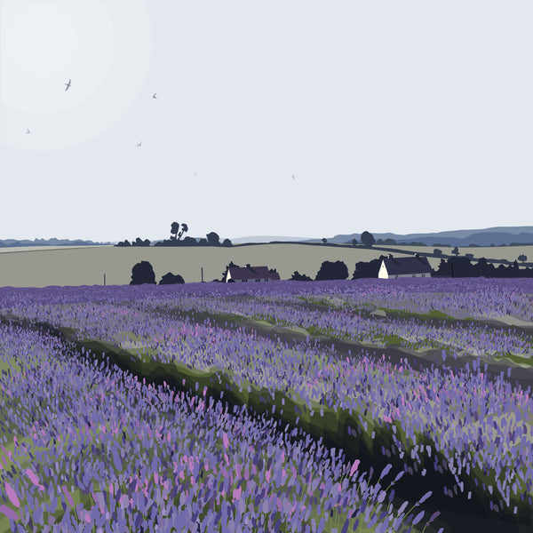 Cotswold Lavender Field - Purple - Unframed Print