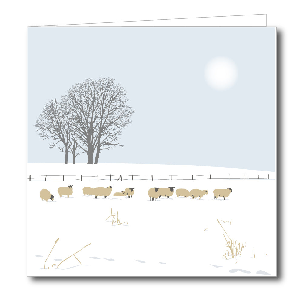 Sheep in Field near Bisley Snowy Blank Card