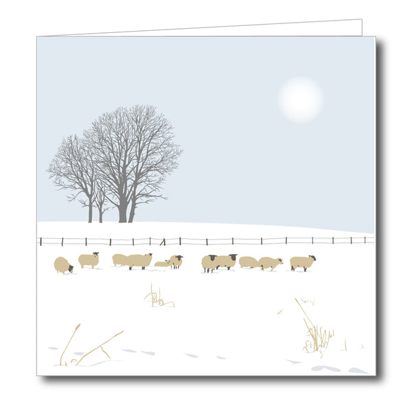 Sheep in Field near Bisley Snowy Blank Card