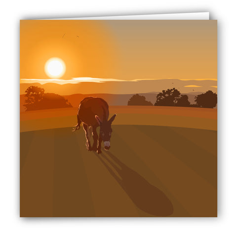 Alfie at Sunset Blank Card