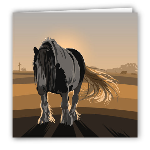 Cob Horse at Sunset Blank Card