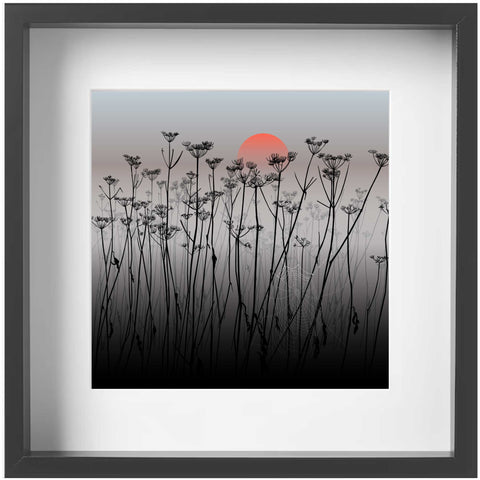 Cow Parsley Sunrise - Grey - Kent and Co Framed Art Print by Nichola Kent