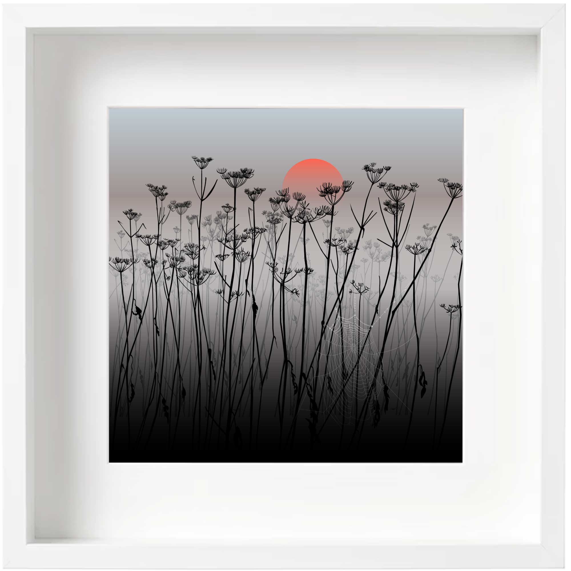 Cow Parsley Sunrise - Grey - Kent and Co Framed Art Print by Nichola Kent