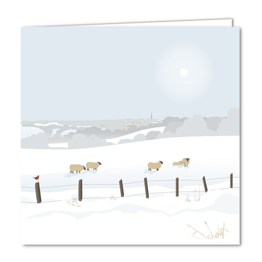 Sheep near Bisley Blank Christmas Card