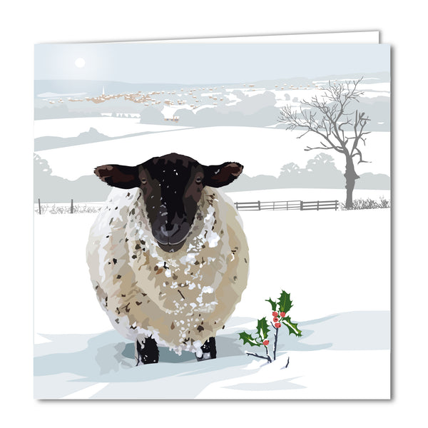 Snowy Sheep near Painswick Blank Card